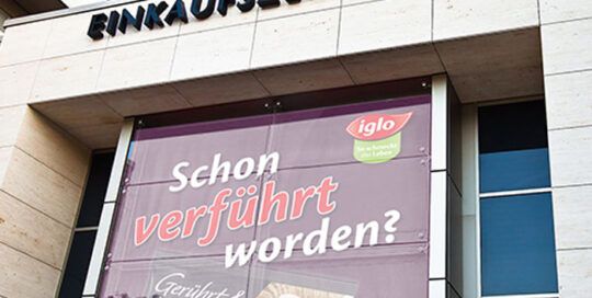 Elbe Einkaufszentrum mit iglo Werbeplakat